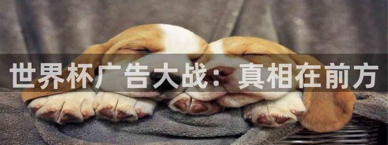 世界杯足球赛2026：世界杯广告大战：真相在前方