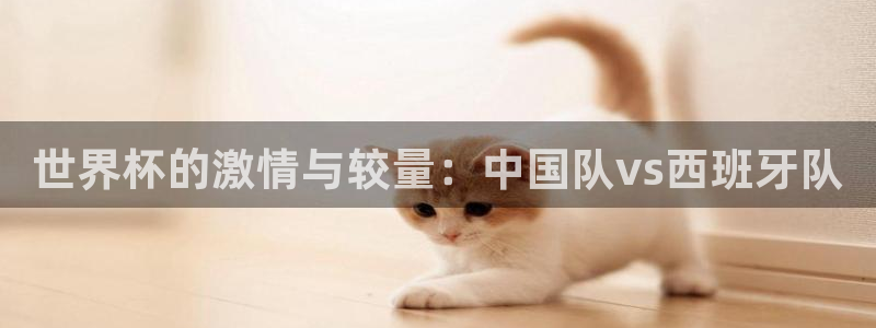2026世界杯直播：世界杯的激情与较量：中国队vs西班牙队