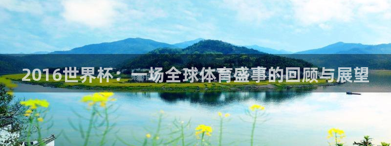美国世界杯：2016世界杯：一场全球体育盛事的回顾与展望
