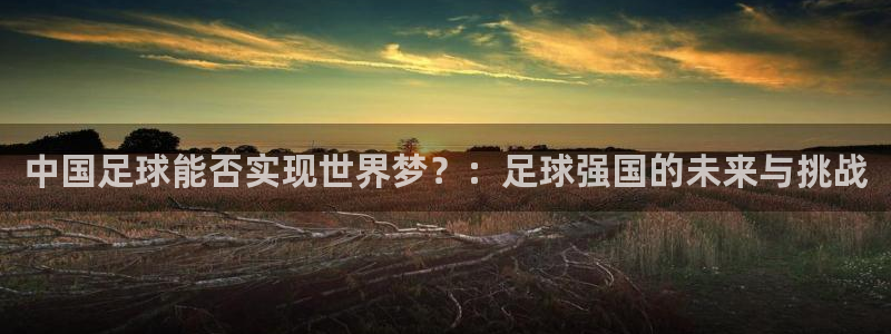 世界杯赛程时间表：中国足球能否实现世界梦？：足球强国的未来与挑战