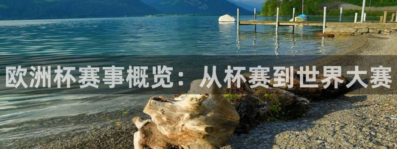 世预赛直播:欧洲杯赛事概览:从杯赛到世界大赛