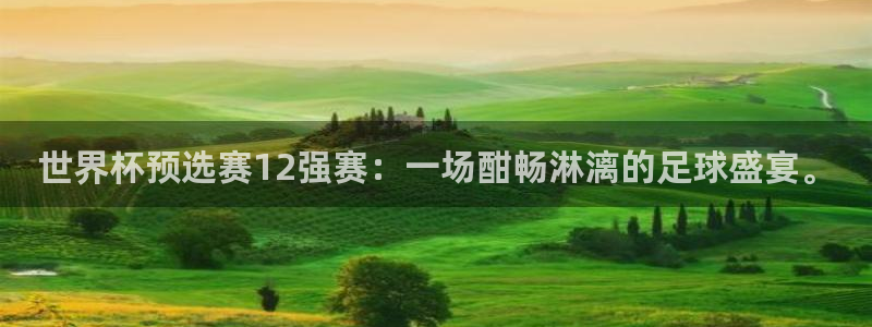 世界杯球赛:世界杯预选赛12强赛:一场酣畅淋漓的足球盛宴。