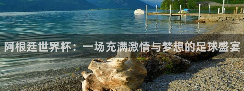 英格兰联赛杯直播:阿根廷世界杯:一场充满激情与梦想的足球盛宴