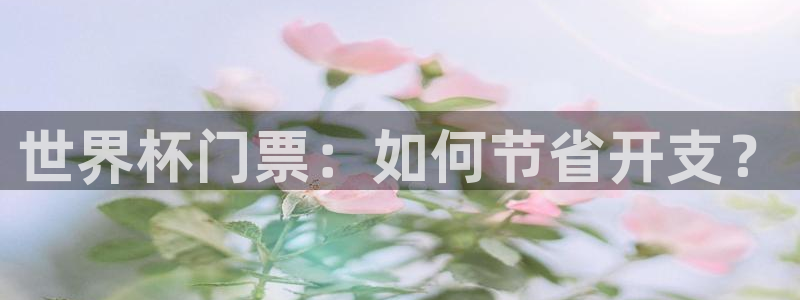 2026世界杯赛程表完整版:世界杯门票:如何节省开支?