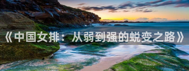 2026世界杯买球:《中国女排:从弱到强的蜕变之路》