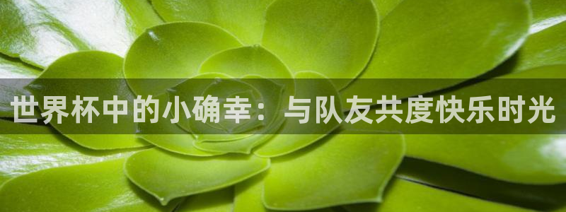 2006年世界杯冠军:世界杯中的小确幸:与队友共度快乐时光