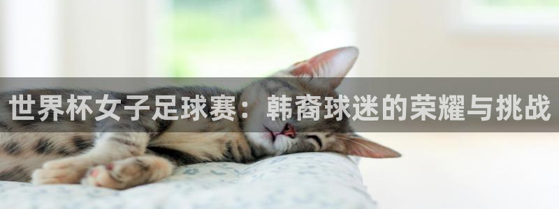 世界杯球队：世界杯女子足球赛：韩裔球迷的荣耀与挑战